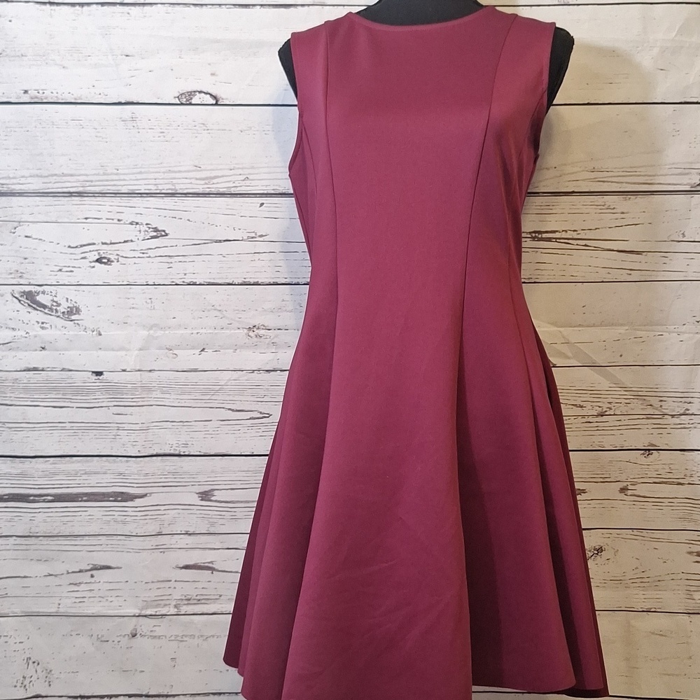 #1152 She + Sky Rasberry Stretch Fit&Flare Dress sz L - Picture 2 of 11